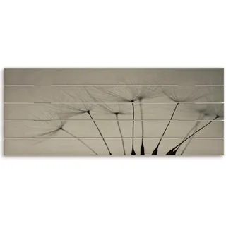 Holzbild ARTLAND "Pusteblumen-Samen I" Bilder Gr. B/H/T: 125 cm x 50 cm x 2,4 cm, Holzbild Blumenbilder Querformat, 1 St., grau Holzbilder
