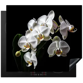 MuchoWow Herd-Abdeckplatte Orchidee - Blumen - Weiß - Natur - Schwarz, Vinyl, (1 tlg), Ceranfeldabdeckung Küche, Herdabdeckplatte Einteilig, 60x52 cm schwarz 60 cm x 52 cm x 0.2 cm