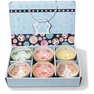 YushengTai 6er Müslischalen aus Porzellan,300 ml Niedliche Cartoon Dessertschalen für Kinder, Müslischalen für Erwachsene für Zeremonie, Suppe, Dessert, Obst, Ramen