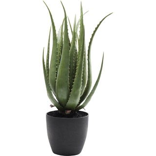 KARE DESIGN Kunstpflanze Aloe 60724 Kunststoff Grün
