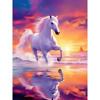 Bimkole DIY 5D Diamond Painting Zubehör Weißes Pferd Meer, Sonnenuntergang Himmel Diamant Malerei Kit Voll Runde Bohrer Malen nach Zahlen Malerei Stickerei Kreuzstich Diamond Dekoration, (30x40 cm)