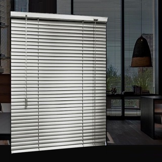 Sh000ad Alu-Jalousie Silber,Tür Fenster Rollo Jalousette Aluminium Fensterjalousie Lamellen Metall,Sicht-,Licht- und Blendschutz,Aluminium-Jalousie für Zuhause/Büro/Wohnzimmer (80x100cm(WxH))