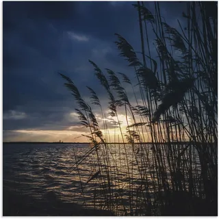Alu-Dibond-Druck ARTLAND "Sonnenuntergang mit Schilf am See" Bilder Gr. B/H: 100 cm x 100 cm, Seebilder quadratisch, 1 St., blau Metallbilder