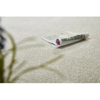 Teppichboden ANDIAMO "Portland, Velours, Gesamthöhe 11 mm, Made in Netherlands", beige (creme), B:400cm L:500cm, Kunstfaser, Teppiche, Uni Farben, Breite 400 cm, Wohnzimmer, strapazierfähig, pflegeleicht