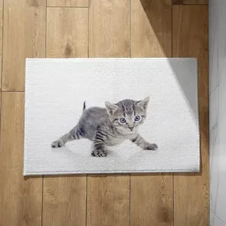 Isdreem Schmutzfangmatte Landhausstil Superdünne Eingangstürmatte Katze Schmutzfangmatte rutschfest Fussmatte rutschfest, 40x60cm