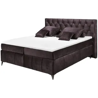 meinBett Pembroke 200 x 121 cm Lila