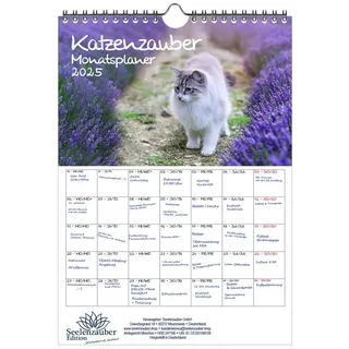 Seelenzauber Wandkalender Katzenzauber Wand- Planer Kalender für 2025 DIN A4 Katzen weiß