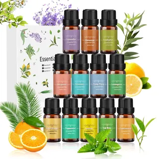 Ätherische Öle Set 12 x 10 ml, 100% naturreines Aromatherapie Duftöl Geschenkset für Diffuser, Luftbefeuchter, SPA, Seife & Kerzen - Rosmarin, Weihrauch, Ylang-Ylang, Bergamotte, Eukalyptus