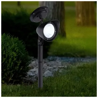 Garden Hero LED-Solar-Gartenspot in Schwarz - (H)42 cm