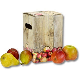 dm-folien gmbh Bag in Box Karton - Wahl aus 5l und 10l - Baginbox für Wein, Saft und Most - Saftbeutel (10, 3 Liter)