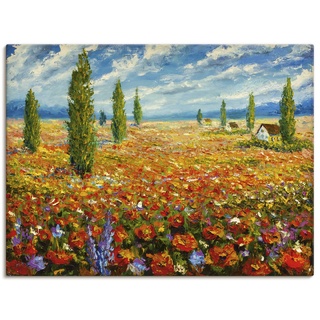 Leinwandbilder Wandbild Bild auf Leinwand 60x45 cm Landschaft Blumenbilder Mohnblume Natur Gemälde Rot U1SV ARTland