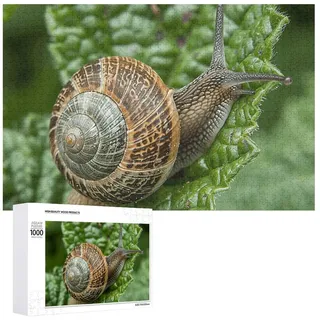 Nahaufnahme von Schnecken-Puzzles, 1000, 500, 300 Teile, mit Aufbewahrungstasche, personalisierte Puzzles für Männer und Frauen, Bilderpuzzle für Familie, herausfordernde Fotos, Puzzle für