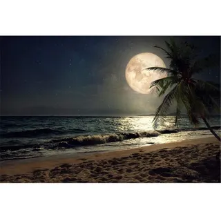 Klassische Puzzles 5000 Teile, Strand bei Nacht Puzzle, Puzzle Kreative, Impossible Puzzle, Puzzle Pädagogisches, Farbenfrohes Puzzle, Puzzle für Erwachsene Kinder-61.61x41.53 Zoll (156.5 x 105.5cm)