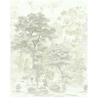 Komar Fototapete Noble Trees  (B x H: 200 x 250 cm, Vlies)