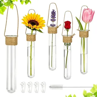 Pengrud 4er Set Reagenzglas Vase Hängevase Glas mit Haken Kleine Wandvase