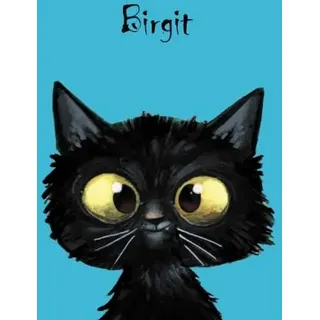personalisiertes Notizbuch DIN A5 - Birgit: 80 blanko Seiten