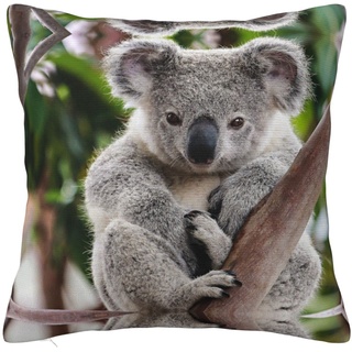 MELPHI Niedliches Kissen mit Koala-Druck, kann in jedem Zimmer, Schlafzimmer, Gästezimmer, Kinderzimmer verwendet werden