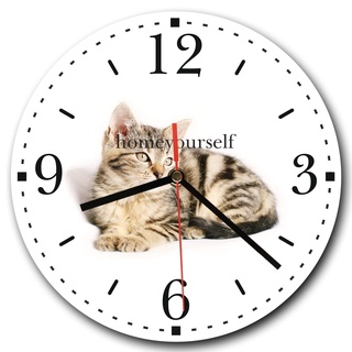 Homeyourself LAUTLOSE runde Wanduhr Katze weiß aus Metall Alu-Verbund lautlos Uhrwerk rund modern Dekoschild Bild 30 x 30cm