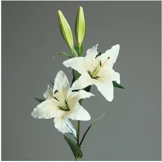 mucplants Großer künstlicher Lilienzweig Creme ca. 84cm Seidenblumen Kunstblume Kunstpflanze