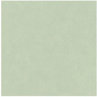 Rasch Textil Vliestapete Uni Einfarbig 53 x 1005 cm 10 m Grün 415377