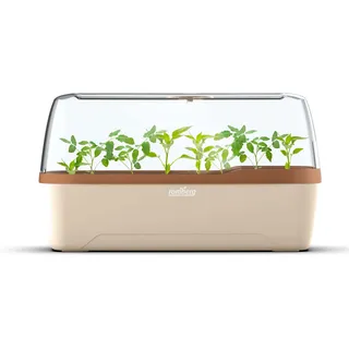 ROMBERG Bo Qube Gewächshaus & Pflanzkasten System 41x17x23 cm Creme-Kupfer