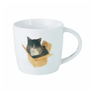 Maxwell & Williams Feline Friends Becher 400 ml, Cat In A Box & Porzellan in Geschenkbox