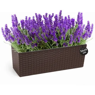 KONZEPT Balkonkasten Hochwertige Blumenkasten Rattan-Optikin, rechteckig 56 x 19 cm, Balkonkasten ideal fur Balkon, Terrasse, Fensterbank braun