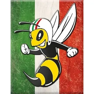 Vespa Emblem Kaskade Piaggio für GTS etc. - 3D-Sticker - V-Emblem-com - VP-235