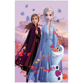 Kinderteppich Frozen Die Eiskönigin Dreamteam | 100x133 cm Teppich Spielteppich