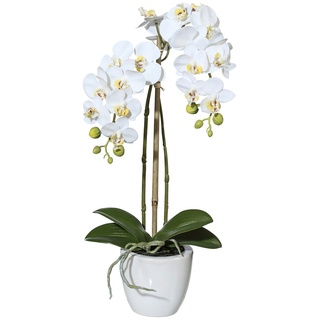 Creativ green Kunstpflanze Orchidee Phalaenopsis, (1 St.), im Keramiktopf H: 43 cm weiß Kunstpflanzen Wohnaccessoires