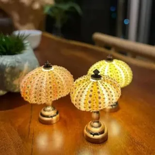 LOGT Seeigel-Nachtlicht DIY Sea Urchin Night Light Materialsatz, Mini Seeigel Licht, Handgemachte Tischlampe, Vintage Nachttischlampe, Kunsthandwerk für Kinderzimmer, Schlafzimmer, Schlafsaal,3pcs