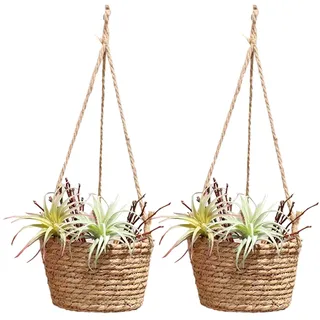 BEIJIALY 2er-Pack Hängender Pflanzkorb aus Seegras, Gewebter Rattan-Pflanzenaufhänger, Hängender Rattan-Pflanzgefäß, Makramee-Pflanzenaufhänger, Blumentopfhalter für Garten, Draußen,(Braun)