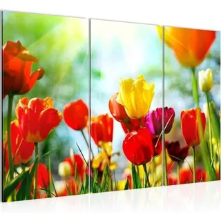 Famanu Wanddekoration Blumenbilder - Mehrteilig - 120 x 80 cm - Bunt
