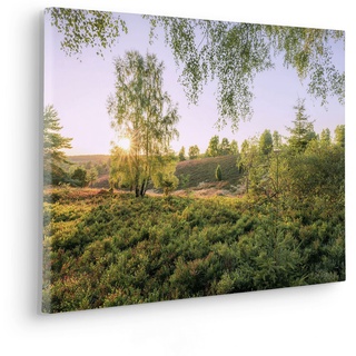 Komar Keilrahmenbild im Echtholzrahmen - Sommerabend - Größe 60 x 40 cm - Bild, Leinwandbild, Landschaftsmotiv, Wohnzimmer, Schlafzimmer