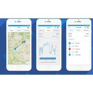 Flexcom FC6MEX – Ortungssoftware-Lizenz für PC/MAC/Android/iOS, 6 Monate