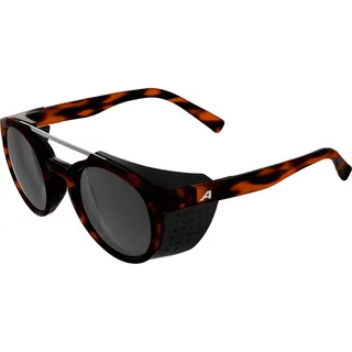 ALPINA GLACE - Verspiegelte und Bruchsichere Gletscherbrille Mit 100% UV-Schutz für Erwachsene