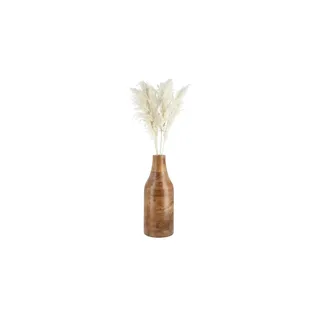 Asa Selection Trockenblumen ¦ creme