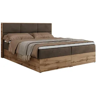 MKS Boxbett, ALBERO 2 - 120/200 Braun Velvet... - H3,