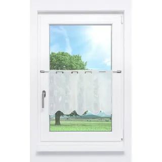 Plauener Spitze® Scheibengardine Zyla (1 St), transparent, HxB 40x176cm weiß 176 cm x 40 cm