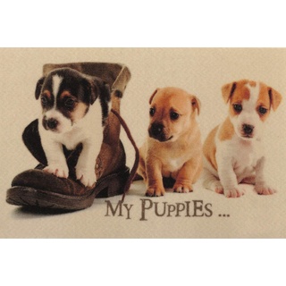 oKu-Tex Design Fußmatte Hunde Welpen Puppies, lustiges & niedliches Motiv, beige, rutschfest & waschbar, 50 x 80 cm, Deko Dekorativ...