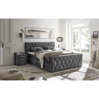 ed exciting design Boxspringbett Cashfield 8 - grau