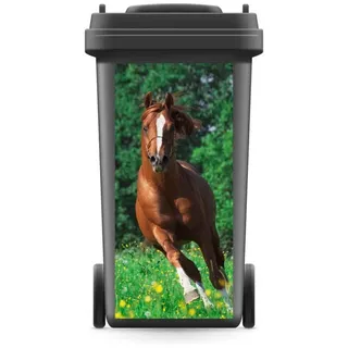 WERBEPUNKT. Aufkleber Mülltonne Pferd Wiese Natur 720 x 320 mm | Wetterfeste selbstklebende PVC-Folie, UV-bestaendiger Digitaldruck, stark haftend, Made in Germany