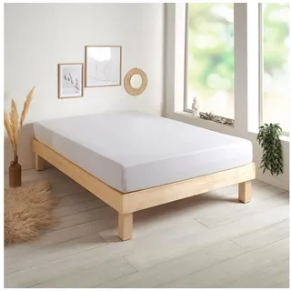 Traumschlaf Spannbettlaken Baumwolle-Jersey 70 x 140 cm weiß