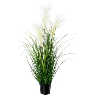 Creativ green Kunstgras CREATIV GREEN "Pampasgras", grün (grün, creme), H:76cm Ø:20cm, Kunststoff, Kunstpflanzen,