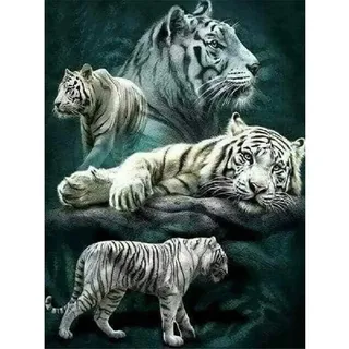 Puzzle 5000 Teile - Jigsaw Puzzle für Erwachsene - Buntes Puzzle 5000 Teile Erwachsene, Motiv:Verschiedene Bewegungen des weißen Tigers, 5000 Teile Puzzle, Puzzle Erwachsene 5000 Teile, Puzzel,5000 P