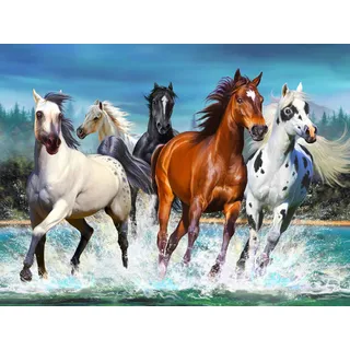 Viiegor Diamond Painting Komplettset, Motiv: Pferd am Strand, Diamant-Stickerei, komplett, Strand, Meer, Pferd, Diamantmalerei, Kreuzstich, Diamant, Kunsthandwerk für Zuhause, Wanddekoration, 30 x 40