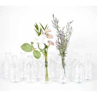 gouveo 12er Set Glasvasen Apo100 - Runde Blumenvasen aus Glas - Kleine Deko-Vasen für Zuhause, Hochzeiten, Geburtstage, Feste