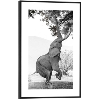Reinders! Gerahmtes Bild SIMPLONA, Schwarz - Weiß - 20 x 30 cm - Elefant in Afrika