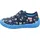 blau (8080) 31