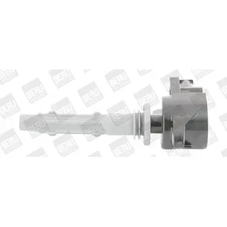 BorgWarner (Beru) Beru Zündspule